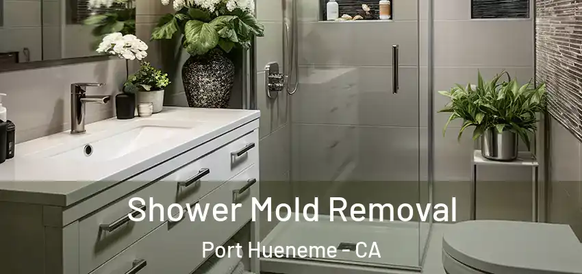  Shower Mold Removal Port Hueneme - CA