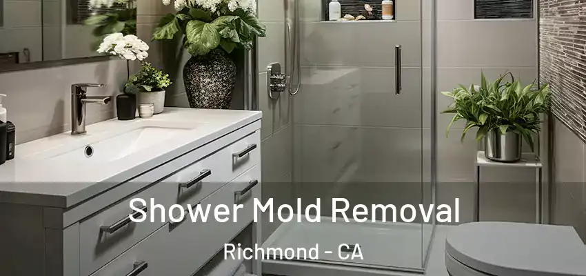  Shower Mold Removal Richmond - CA