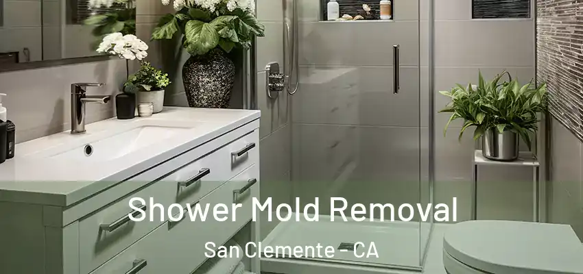  Shower Mold Removal San Clemente - CA
