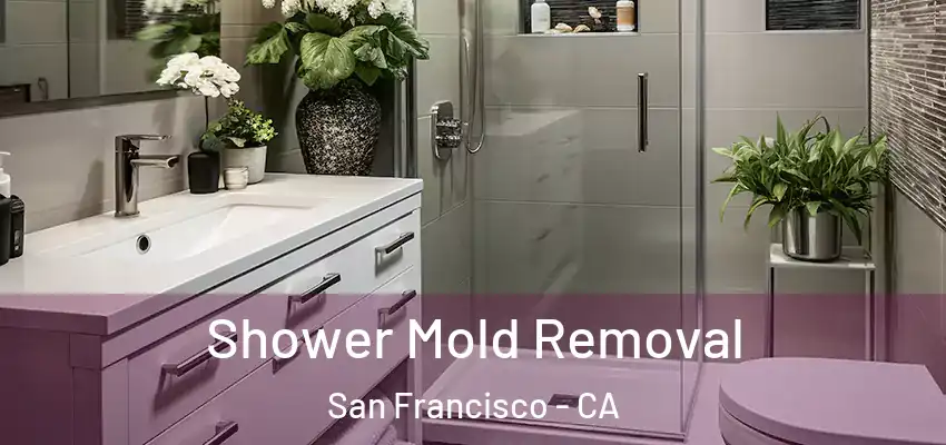  Shower Mold Removal San Francisco - CA