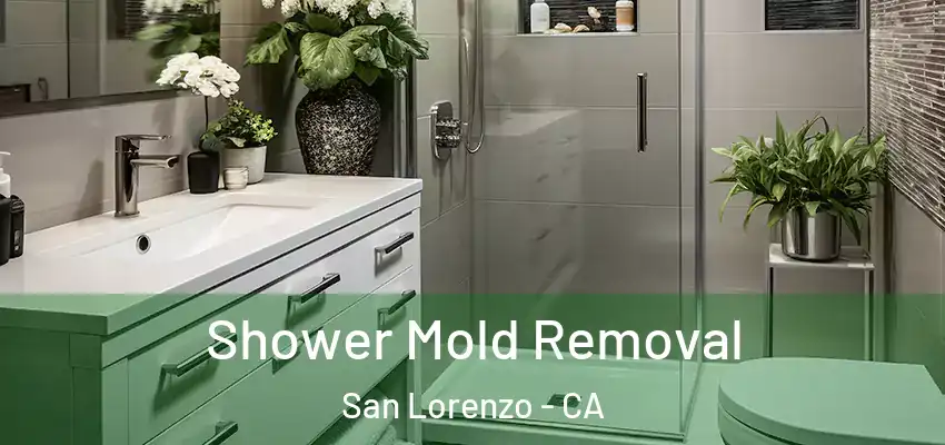  Shower Mold Removal San Lorenzo - CA