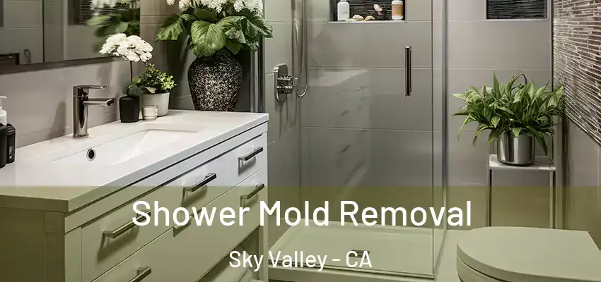  Shower Mold Removal Sky Valley - CA