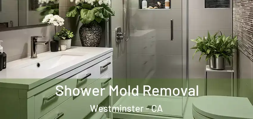  Shower Mold Removal Westminster - CA