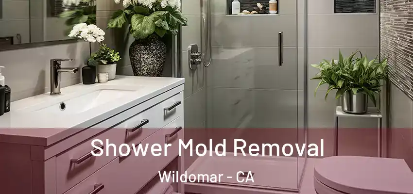  Shower Mold Removal Wildomar - CA