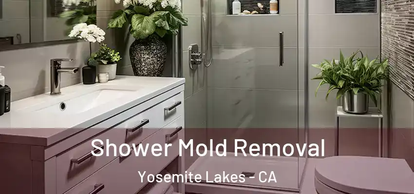  Shower Mold Removal Yosemite Lakes - CA